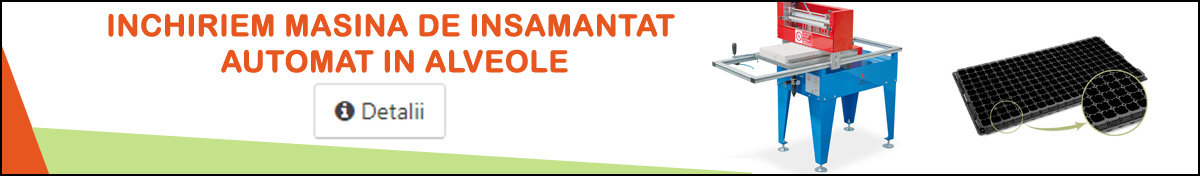 insamantat in alveole