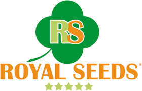 Picture for manufacturer Royal Seeds